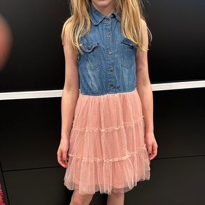 Denim and Pink Tulle Dress